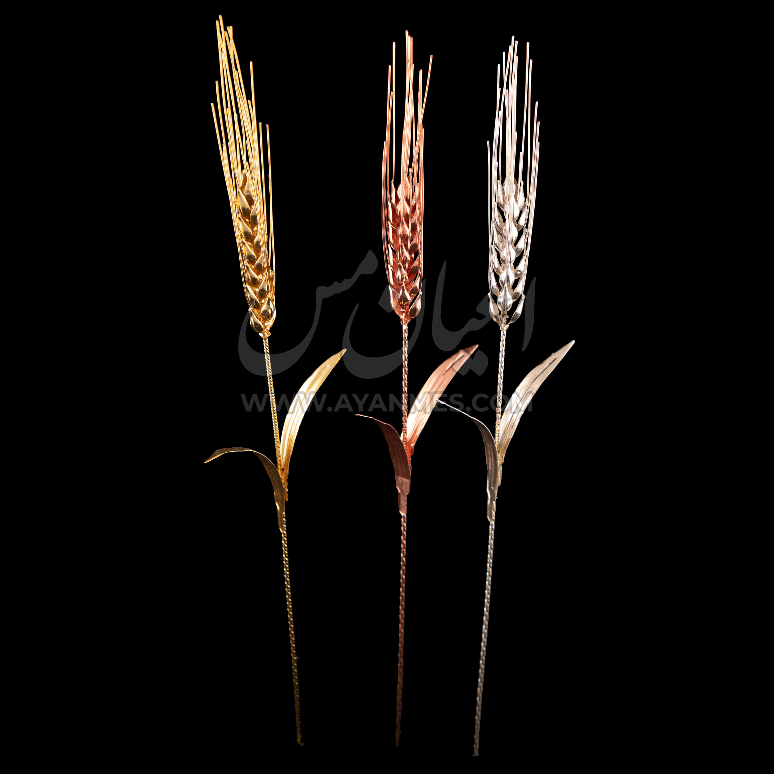 گندم تمام مسی اعیان در سه رنگ